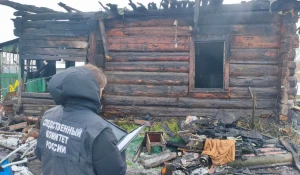 В Алтайском крае расследуют гибель детей в сильном пожаре