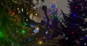 Елки в Барнауле. Новый год.