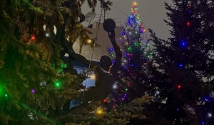 Елки в Барнауле. Новый год.