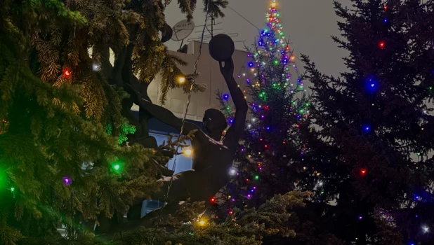 Елки в Барнауле. Новый год.