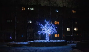 Первые признаки Нового года в Барнауле, 2025 год.