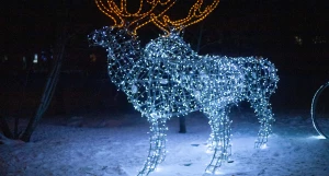 Первые признаки Нового года в Барнауле, 2025 год.