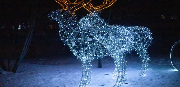 Первые признаки Нового года в Барнауле, 2025 год.
