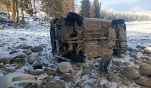 На Алтае произошло ДТП.