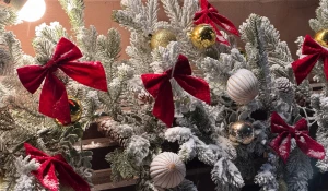 Новогодние украшения. Украшения Барнаула. Новый год