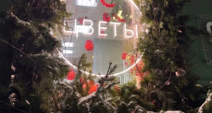 Новогодние украшения. Украшения Барнаула. Новый год