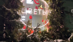 Новогодние украшения. Украшения Барнаула. Новый год