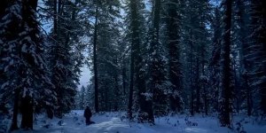 Ночные фото в Алтайском заповеднике.