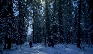 Ночные фото в Алтайском заповеднике.