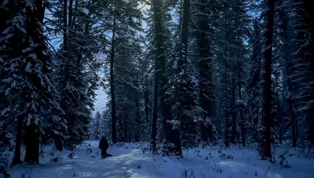 Ночные фото в Алтайском заповеднике.