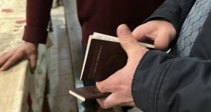 Трудовые мигранты 