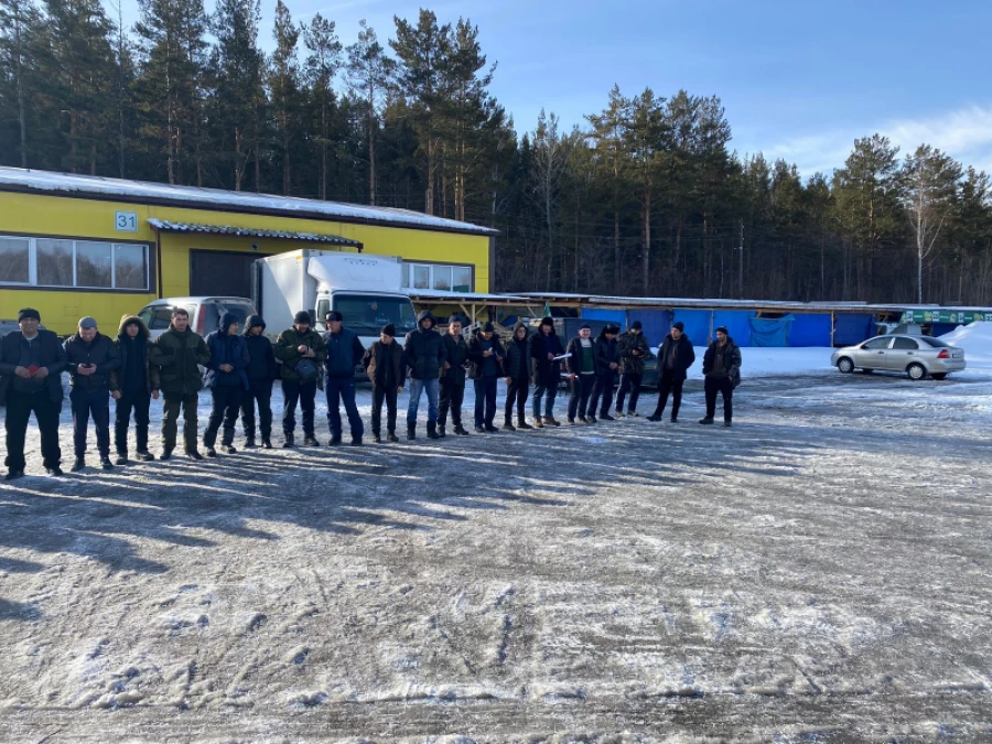 Трудовые мигранты 