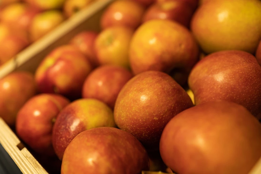 Магазин «Аникс».