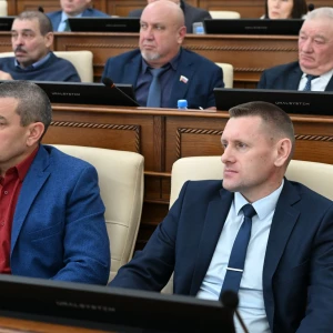 Заседание рабочей группы по реализации закона о местном самоуправлении.