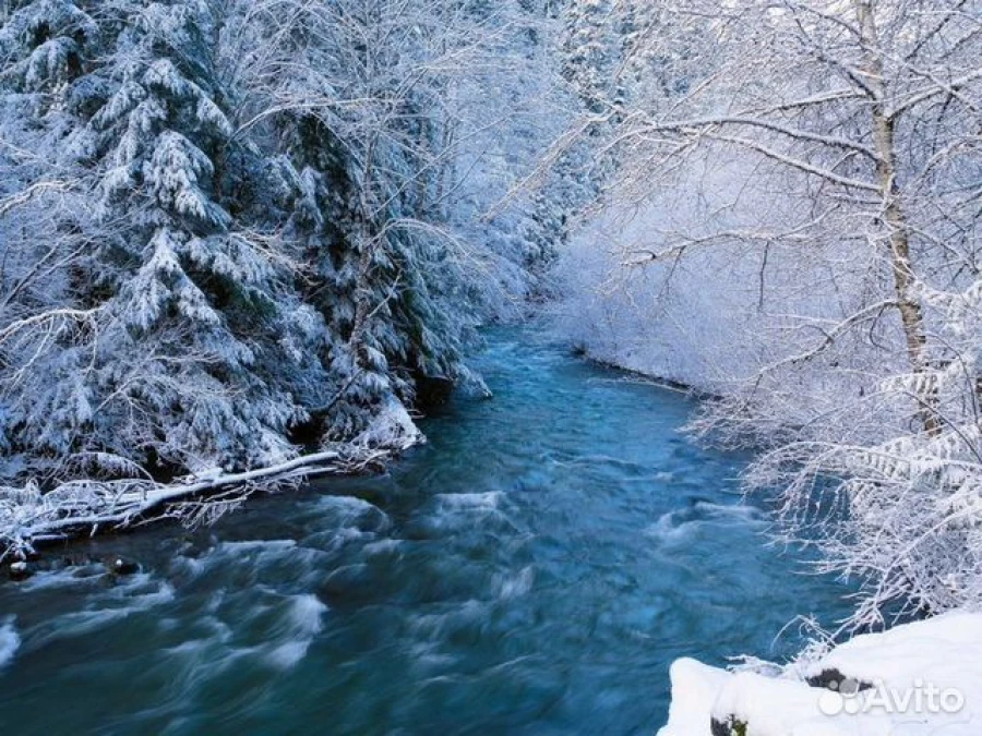 Туры по Алтаю