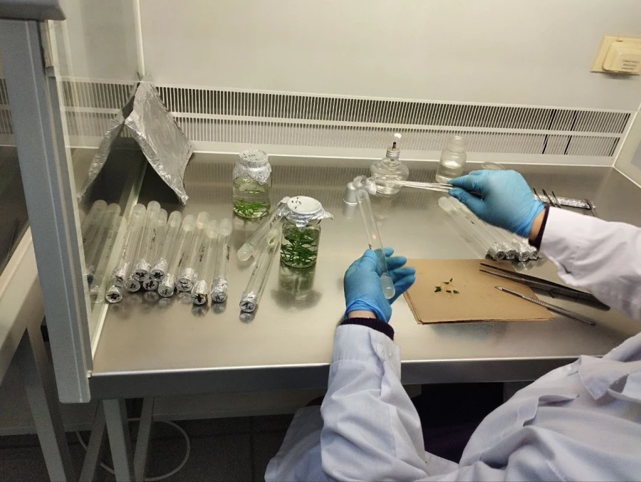 Алтайский центр прикладной биотехнологии