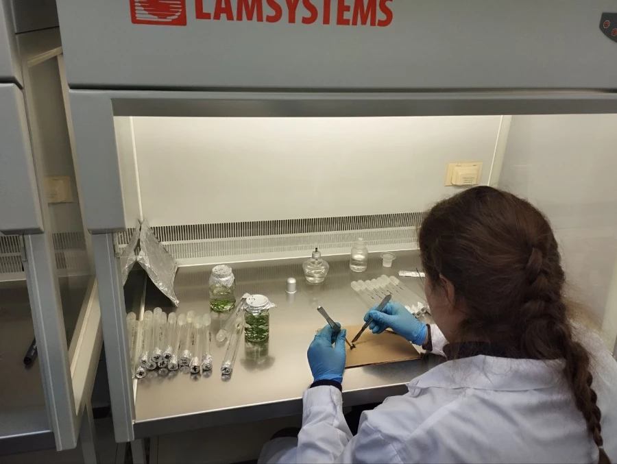 Алтайский центр прикладной биотехнологии