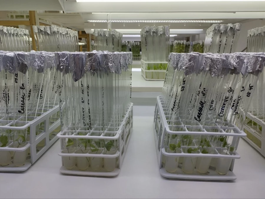 Алтайский центр прикладной биотехнологии