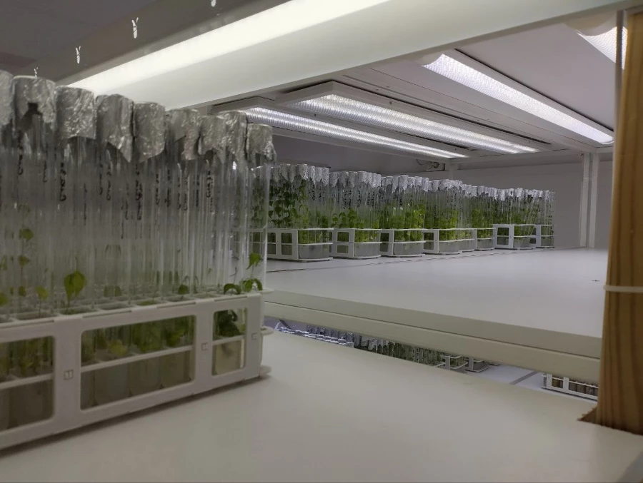 Алтайский центр прикладной биотехнологии