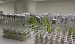 Алтайский центр прикладной биотехнологии