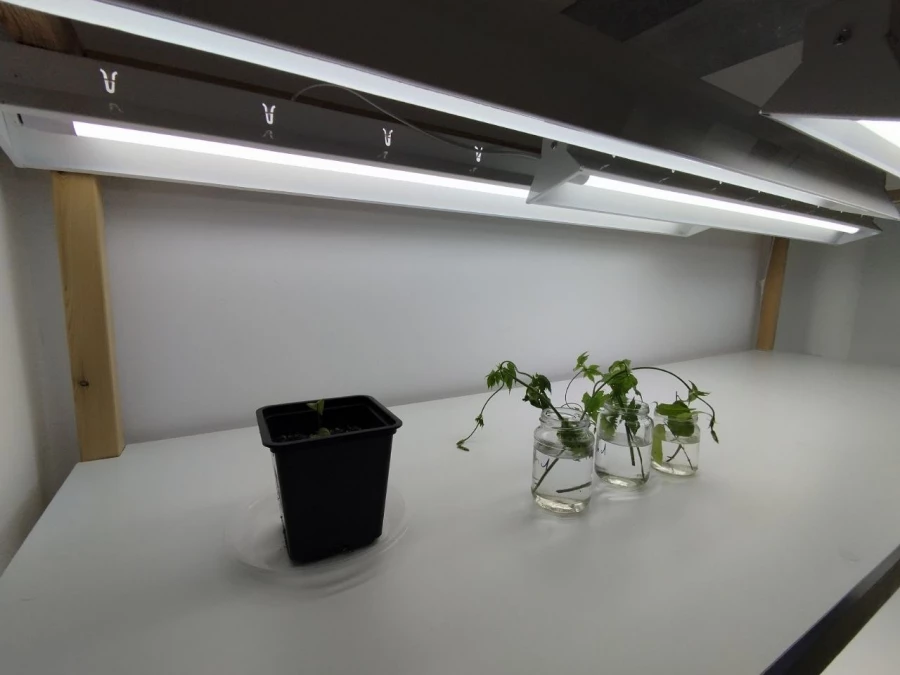 Алтайский центр прикладной биотехнологии