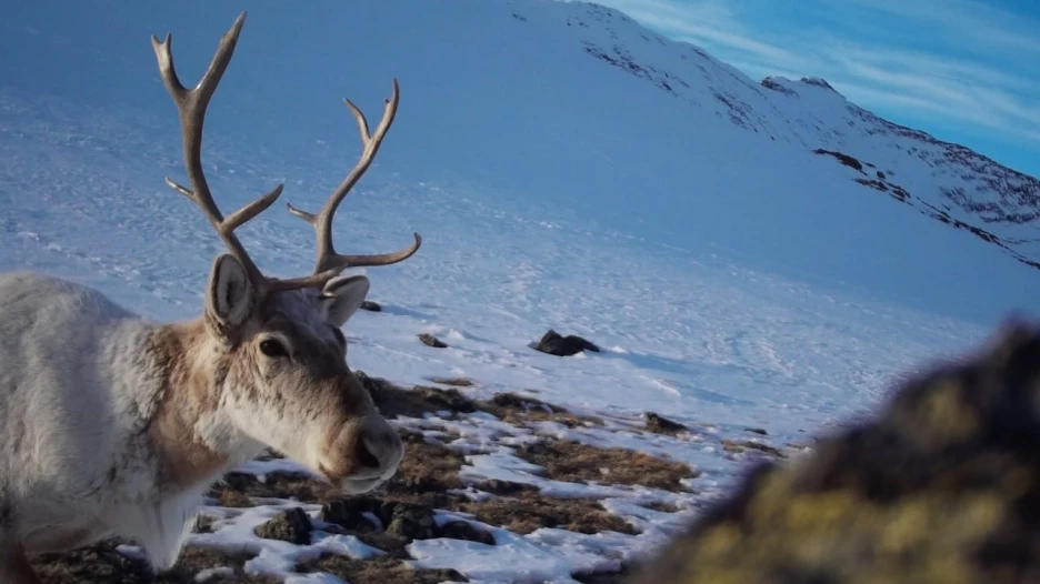 Горы на Алтае.
