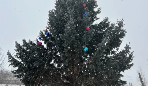 Елка в Барнауле