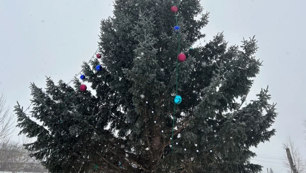 Елка в Барнауле