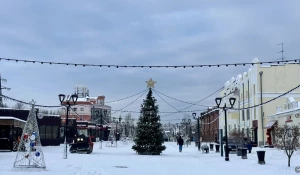 Новогодние городки в Барнауле. 