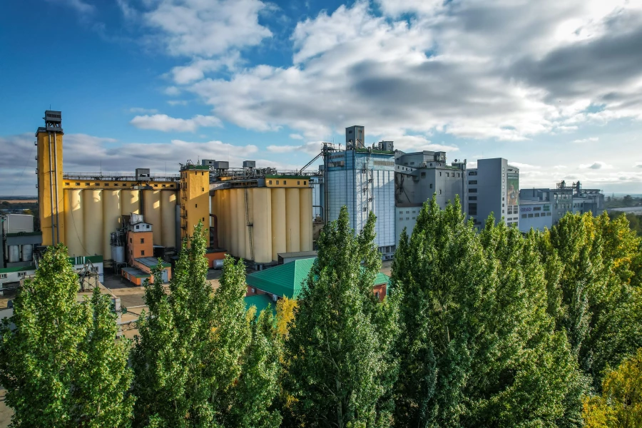 Компания «Алейскзернопродукт».