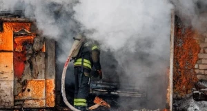 В Барнаульских гаражах дотла сгорел автомобиль.