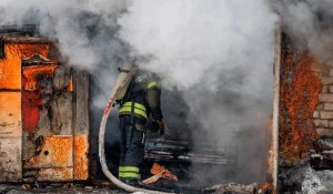 В Барнаульских гаражах дотла сгорел автомобиль.