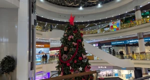 В новогоднее волшебство окунулся барнаульский ТРЦ Galaxy.