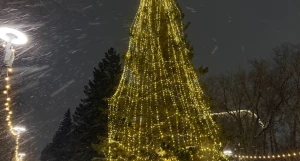 Новогодняя елка в парке «Изумрудный».