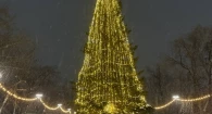 Новогодняя елка в парке «Изумрудный».