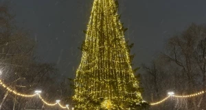 Новогодняя елка в парке «Изумрудный».