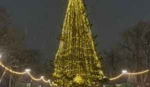 Новогодняя елка в парке «Изумрудный».