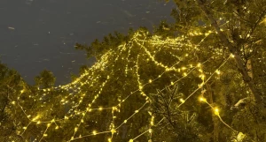 Вау-репетиция гирлянд на елке в барнаульском парке.