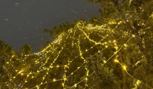 Вау-репетиция гирлянд на елке в барнаульском парке.