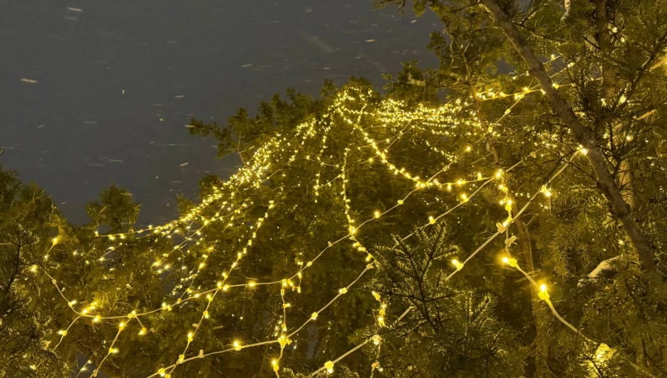 Вау-репетиция гирлянд на елке в барнаульском парке.