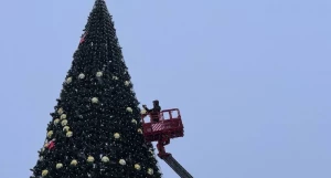 Главная елка в Барнауле на пл. Свободы 2025.