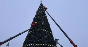 Главная елка в Барнауле на пл. Свободы 2025.