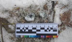 В Барнауле полицейские задержали мужчину за попытку сбыта крупной партии гашиша.