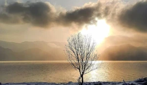 Берега Телецкого озера в снежном убранстве.