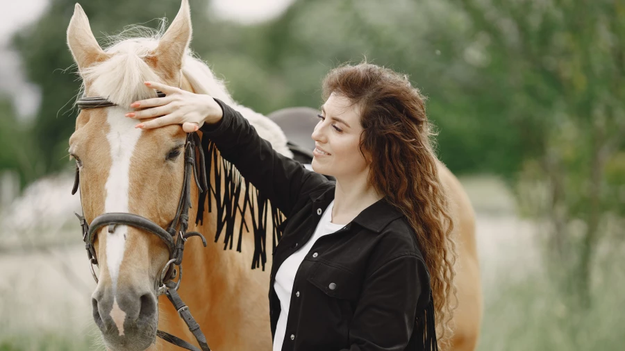 Лошадь - символ 2026 года.
