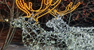 Новогодний Барнаул. 