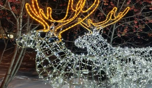 Новогодний Барнаул. 