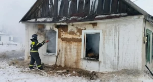  В селе Алтайское Табунского района мужчина погиб на пожаре.