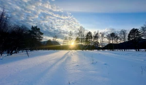 Телецкое озеро в золотых лучах Солнца. 