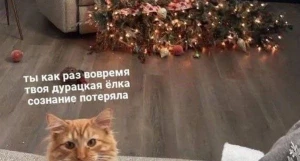 Новогодние мемы